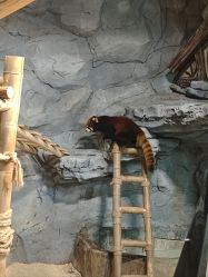 -Zoolung Zoolung动物主题公园(海信广场店)