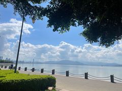 -深圳湾公园(南山区)