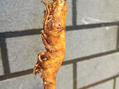 -老兰家传统烧烤炒菜泡馍(小南门店)