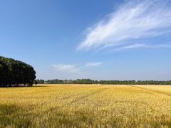 -嘉北郊野公园