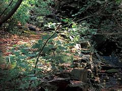 -穹窿山景区
