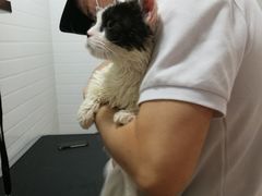 -Pets First伊珊娜洗护·精致美容·家庭式寄养(新会路店)