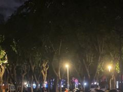 -万绿园