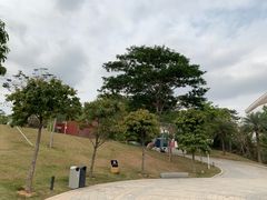 -白石龙音乐公园
