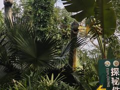 -海南热带野生动植物园