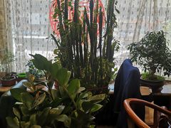 -吴记酱骨炖菜馆(康安路店)