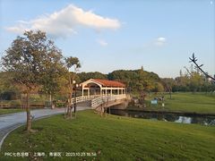 -东方绿舟景区