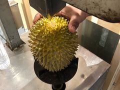 -都念榴莲·城市榴莲