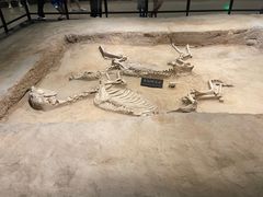 -洛阳周王城天子驾六博物馆