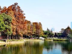 -四海公园(南山区)