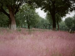 -汉长安城未央宫国家考古遗址公园