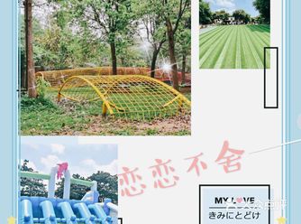 让孩子们恋恋不舍的格林东庄