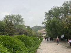 -府君山公园