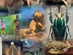 -国家自然博物馆