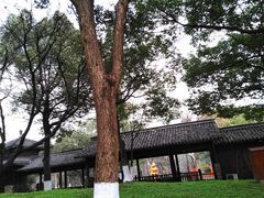 -西溪国家湿地公园