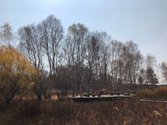 -塞罕坝国家级自然保护区