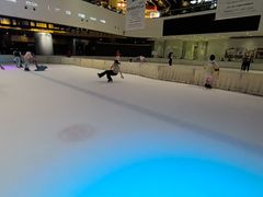 -TheRink大零溜冰场(IFS国金中心店)