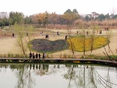 -白鹭湾湿地公园