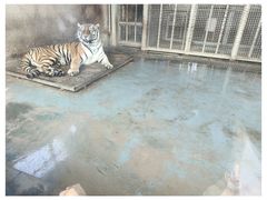 -无锡动物园·太湖欢乐园