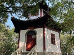 -上海佘山国家森林公园天马山园