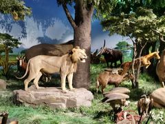 -国家自然博物馆