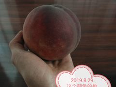 -韩盛·盛江山自助料理(沈辽路万达店)