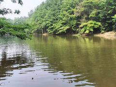 -青龙山国家森林公园