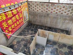 -龟场私房菜
