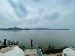 -望湖烤鱼