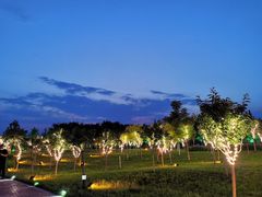 -云居湖