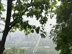 -大蜀山国家森林公园