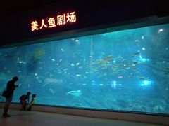 -福州罗源湾海洋世界旅游区