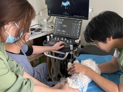 -达爱动物医院·犬猫分区·CT·复杂眼科(远洋山水分院)