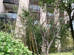 -上海崇明金茂凯悦酒店