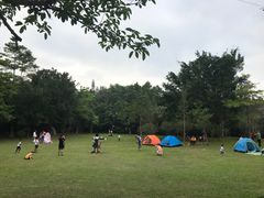-滴水岩森林公园