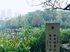 -重庆彩云湖湿地公园