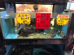 -海晖酒楼·顺德鱼生(荣华店)