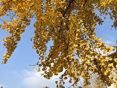 -老鼎万春卤菜(五代传承创始老店)