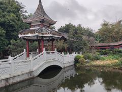 -顺峰山公园