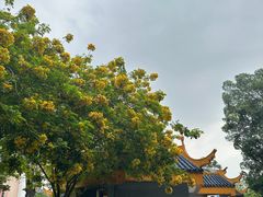 -金砂公园