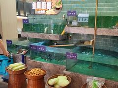 -鱼你相聚·河鲜馆(袁家岭店)