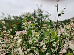 -恒大世纪梦幻城