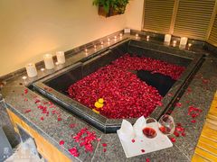 -春晖园度假酒店温泉