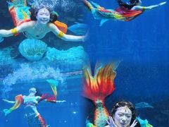 -华夏文旅海洋公园