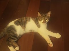 -云端咖啡私房店(河松街店)