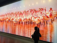 -罗红摄影艺术馆