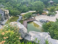 -上海吴淞炮台湾国家湿地公园