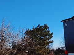 -北京九华山庄会展酒店
