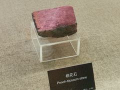 -甘肃地质博物馆