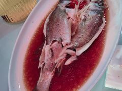 清蒸鲈鱼-马白开来特色羊排揪片子  (总店)